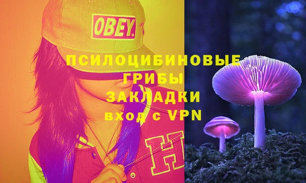 спайс Козловка