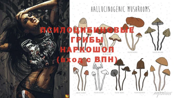 MDMA Козельск