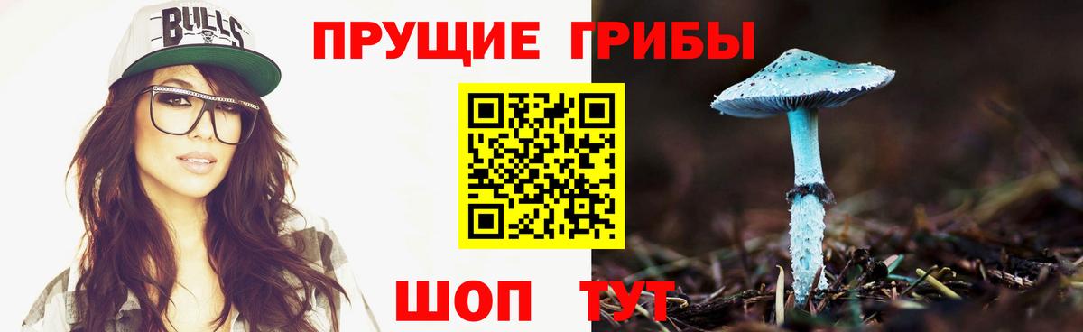Псилоцибиновые грибы прущие грибы Сухой Лог